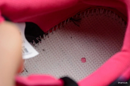 SB "Northern Lights"724183-063 Premier Dunk Low Nike 0203